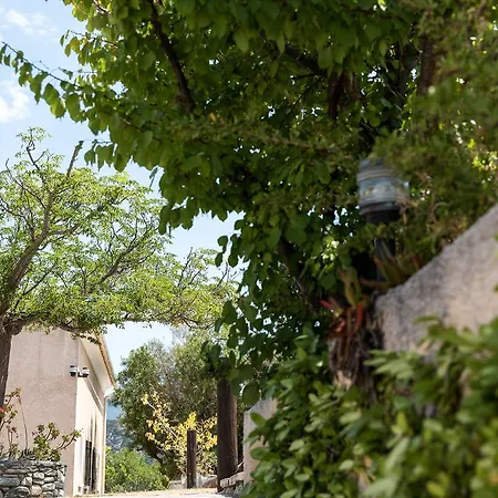 شقة فندقية Costa D'oru 3*