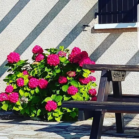 Costa D'oru Aparthotel 3*